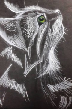 Our Work Image